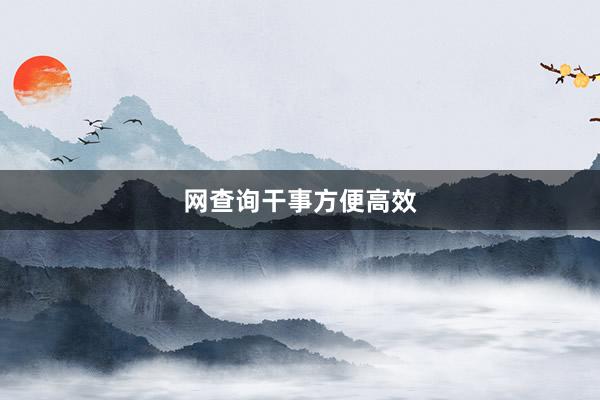 网查询干事方便高效