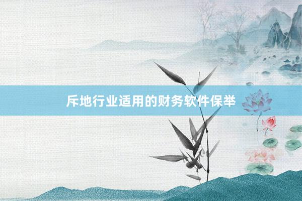 斥地行业适用的财务软件保举